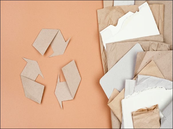 Environmental Impact of Plastic vs. Paper Box Packaging